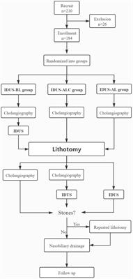 Preferable timing of intraductal ultrasonography during endoscopic retrograde cholangiopancreatography lithotomy: A prospective cohort study